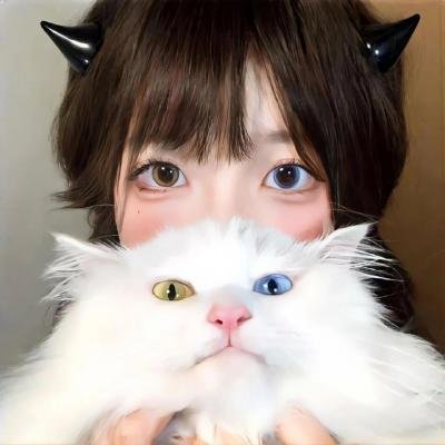 觅法奇程 在线观看