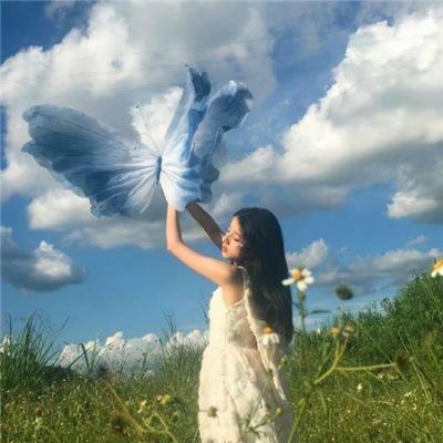 三只狼 在线观看